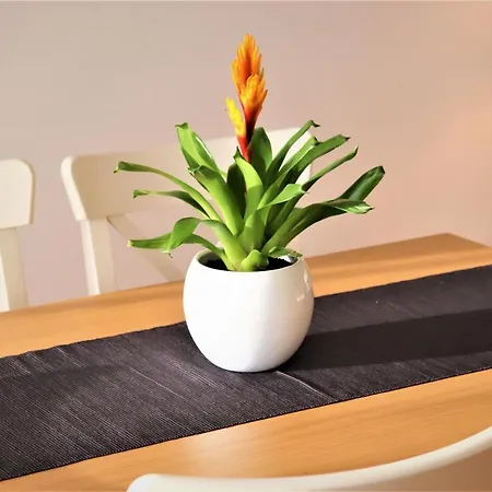 Appartement Deluxe *
